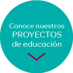 Conocé nuestros proyectos