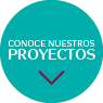 Conocé nuestros proyectos