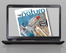 Revista C13B