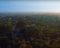 Amazonia